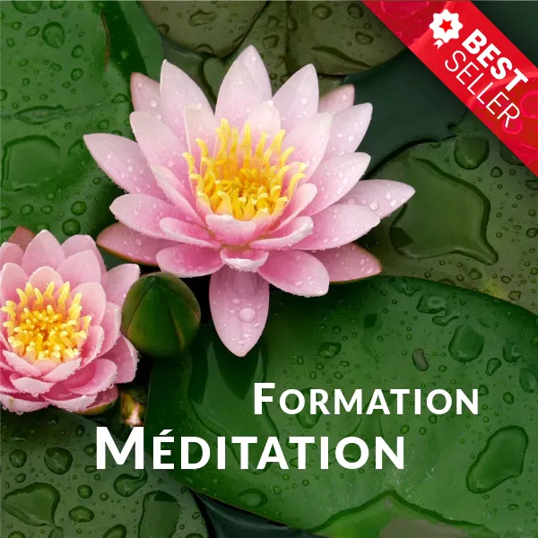 Formation professeur de méditation Formation Méditation