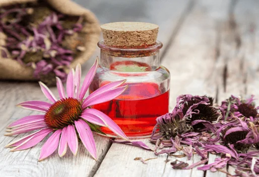 Formation en naturopathie 3 Formation en naturopathie formation naturopathie