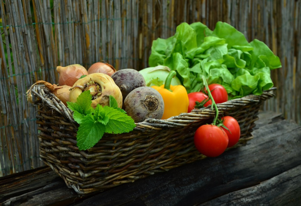 Formation en Agriculture urbaine